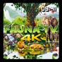 Fauna TV app download