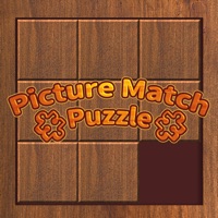 Picture Match Puzzle logo