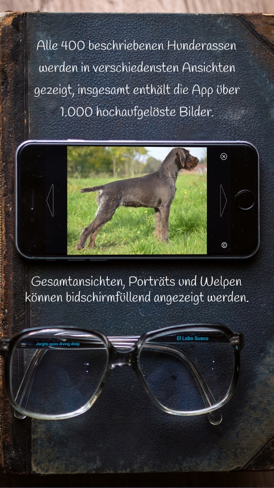#2. Hunderassen aus aller Welt (iOS) 由: I.M.D. Publicacion C.A.