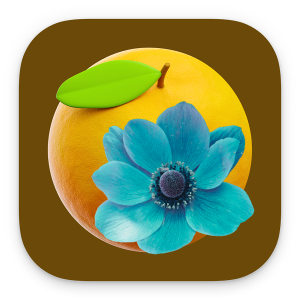 Orange and Teal, Preset Camera