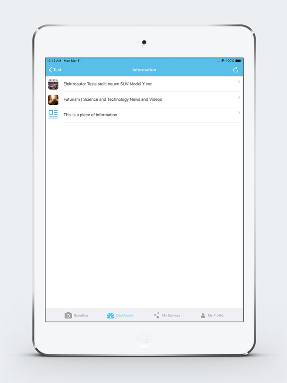 Foresight Strategy Cockpit iPad screenshot
