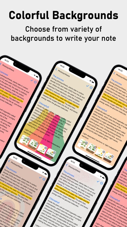 Study Notes & Flashcards Maker screenshot-7