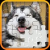 Pieces Picture - Jigsaw Puzzle icon