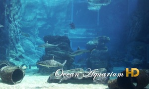 Ocean Aquarium HD