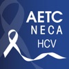 HIV-HCV icon