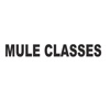 Mule Classes