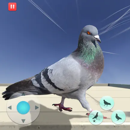 Hungry Pigeon Simulator Game Cheats