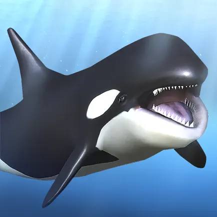 Orca  and marine mammals Cheats