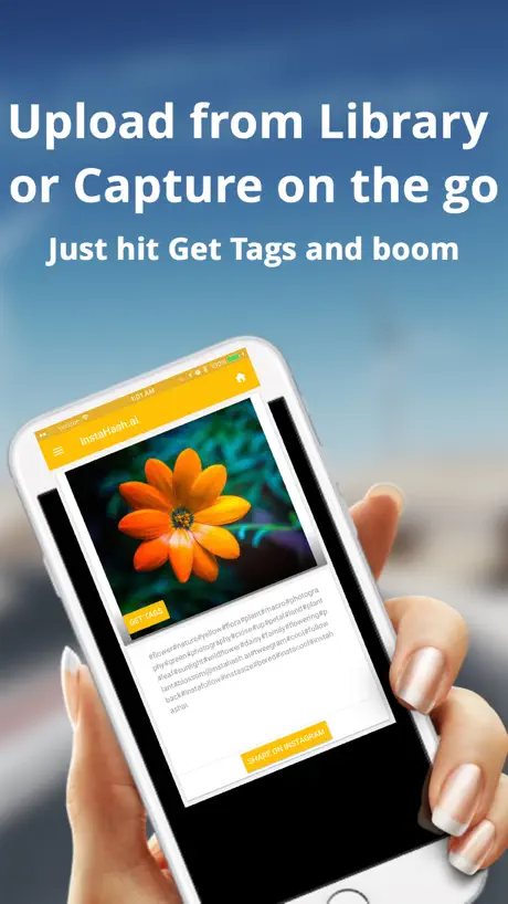 Social Tags