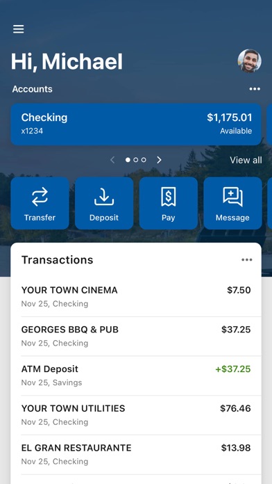 Northeast Georgia Bank Screenshot