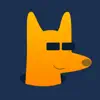 DingoVPN: Global Protection App Support
