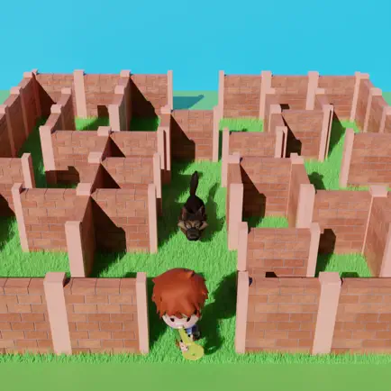 Run a Maze Читы