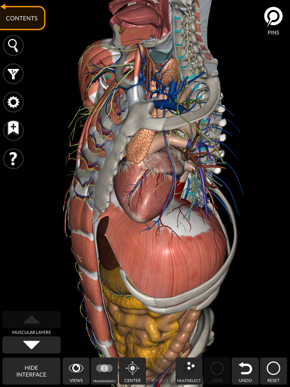 Anatomy 3D Atlas iPad screenshot 7 - Medical app