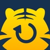Icon Tiger Data Recovery