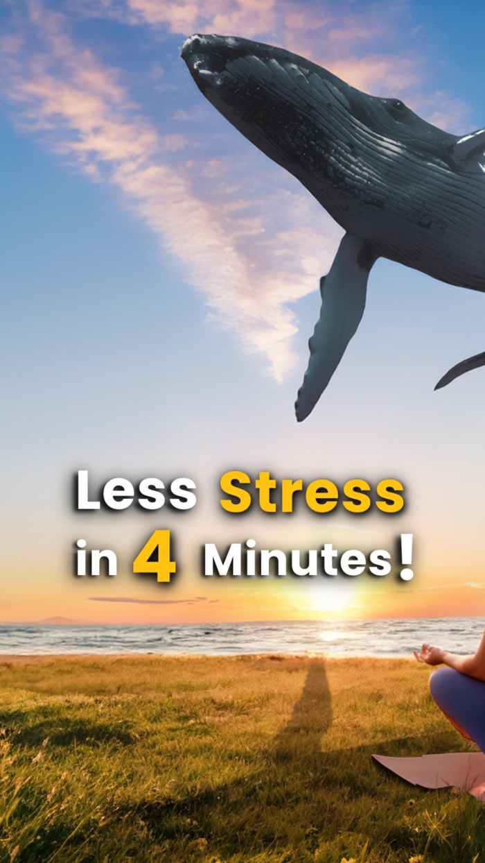 Visutate Augmented Reality