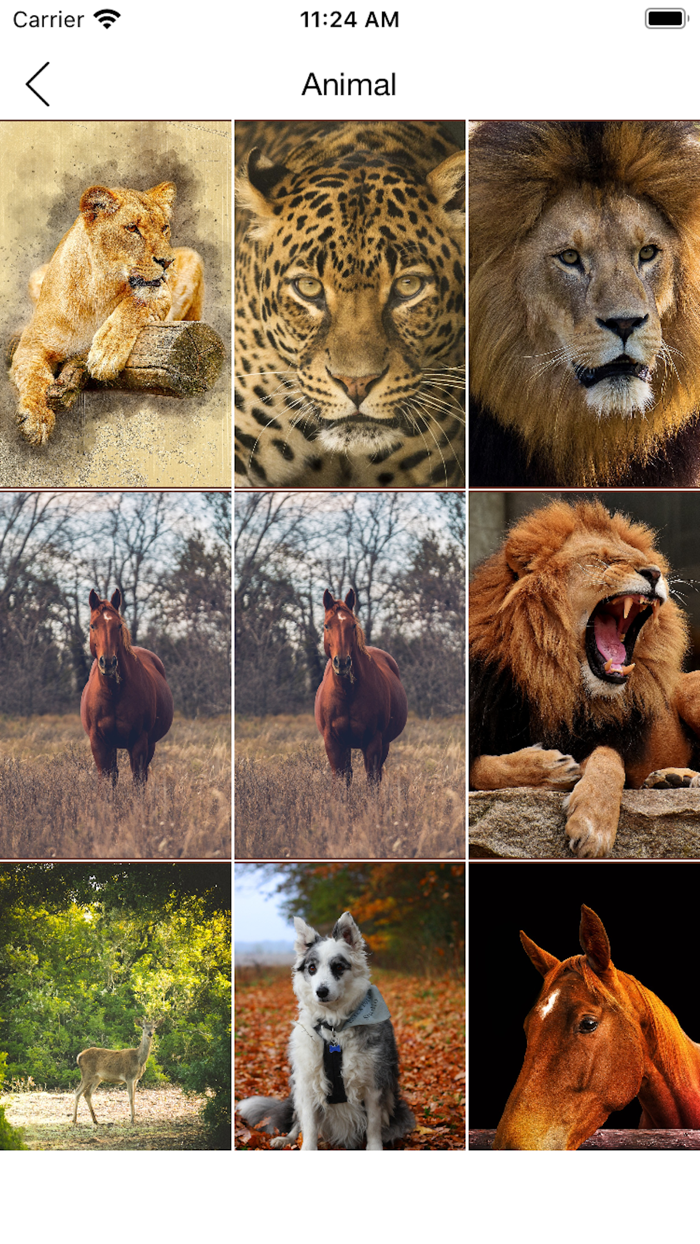 Christmas wallpapers