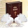 Hindi bible - verse,name,game icon