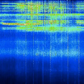 Schumann Resonance müşteri hizmetleri