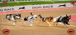 Game screenshot Dog Racing Game - Dog Games mod apk