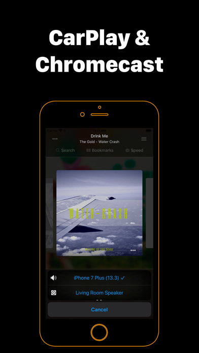 Flacbox: Hi-Res Music Player Screenshot