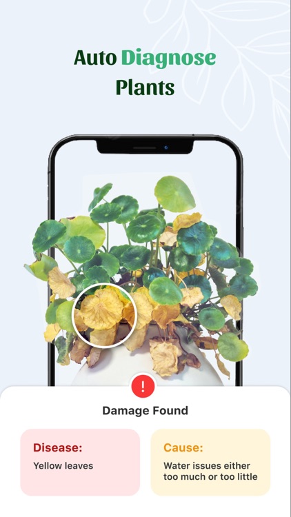 Ai Plant Disease Identifier Ap