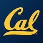 California Golden Bears app download