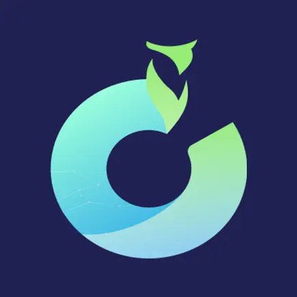 Owly golf Читы
