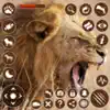 Lion Simulator - Wild Animals delete, cancel