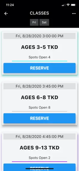 Game screenshot NYBBC Taekwondo hack
