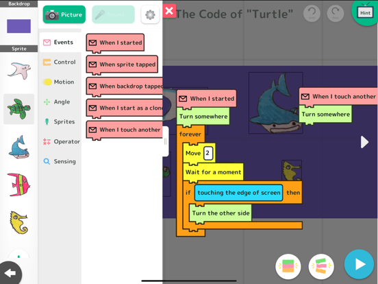 PROGRAMMING ZEMI iPad screenshot