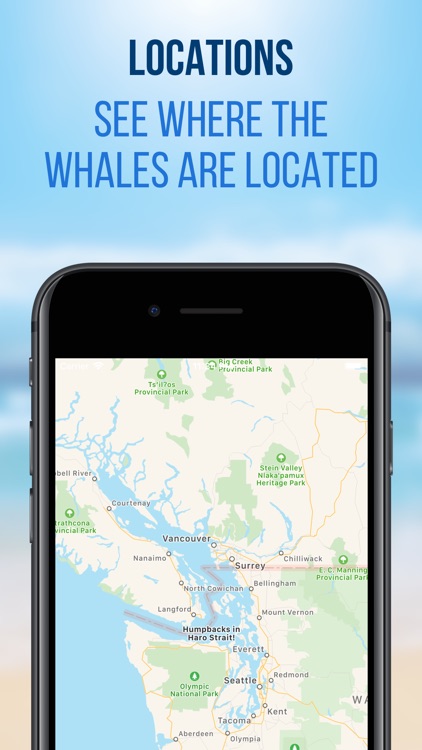 Whale Radio screenshot-3