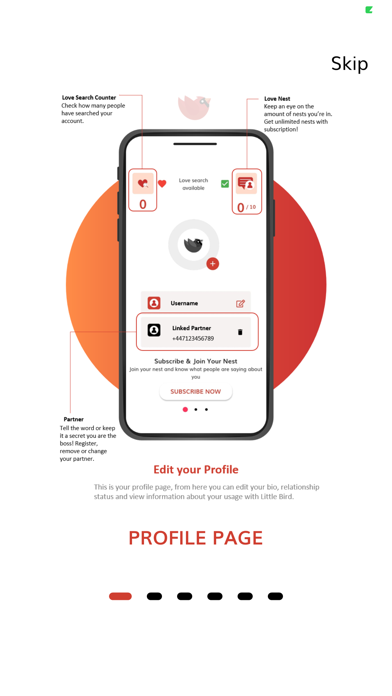 Little Bird App Screenshot