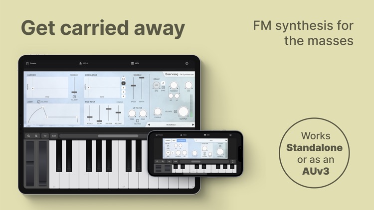 Baervaag - FM Synthesizer