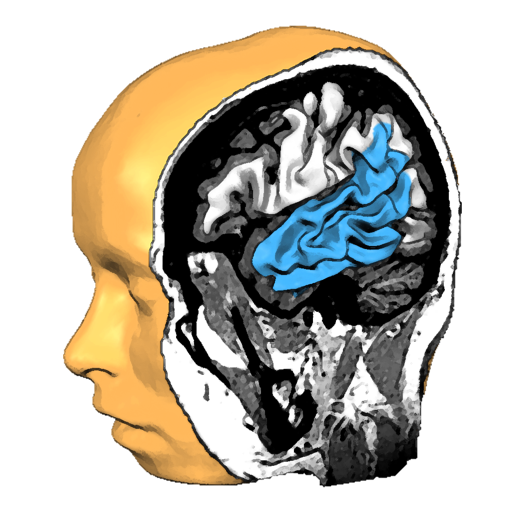 Brain Tutor app icon