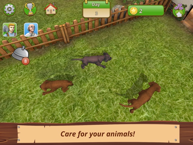 Pet World - Abrigo de animais – Apps no Google Play