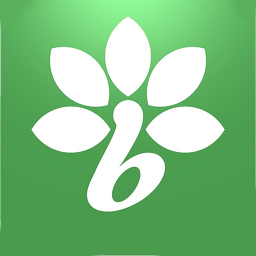 El Boulevard CC Download