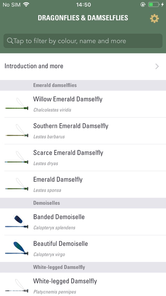 #1. Dragonflies & Damselflies (iOS) 由: NatureGuides Ltd.