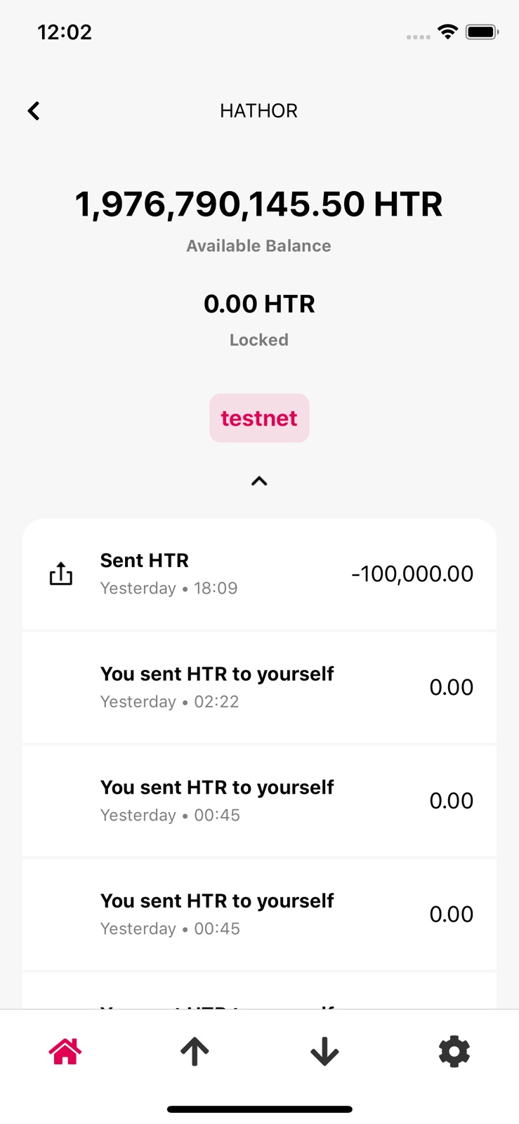 Hathor Crypto Wallet iphone screenshot 1