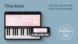 tines - electric piano iphone screenshot 1