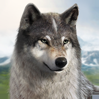 Wolf Game Wild Animal Wars
