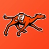 Campbell Fighting Camels icon