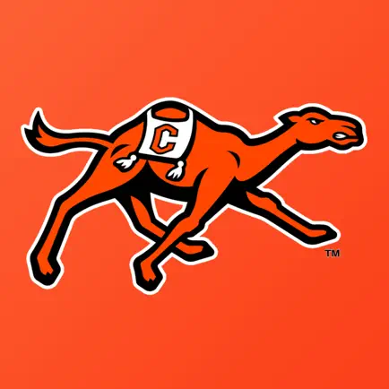 Campbell Fighting Camels Cheats