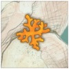 Reef Encounter icon