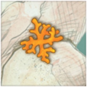 螢幕擷取畫面 (5) Reef Encounter
