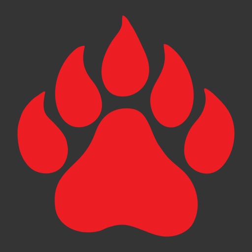 USJ Bruins by University School of Jackson INC