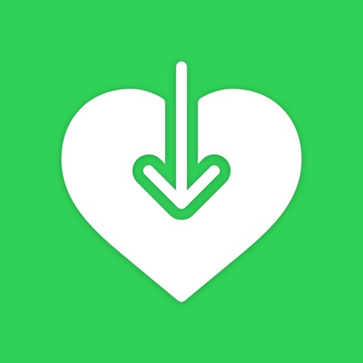 Health Export CSV icon