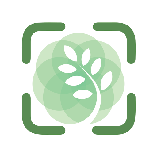 PlantThis - Plant Identifier