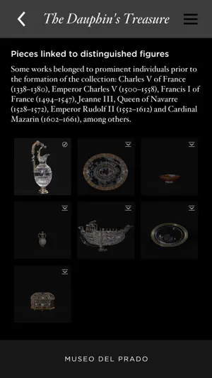El Tesoro del Delfín screenshot 1