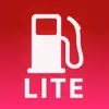 Road Trip MPG Lite problems & troubleshooting and solutions