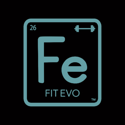 Fit Evo Online